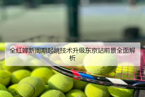 全红婵新周期起跳技术升级东京站前景全面解析